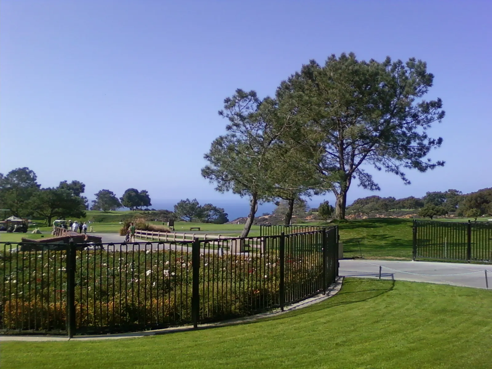 Torrey Pines Golf Course on the bluffs above the Pacific in La Jolla
