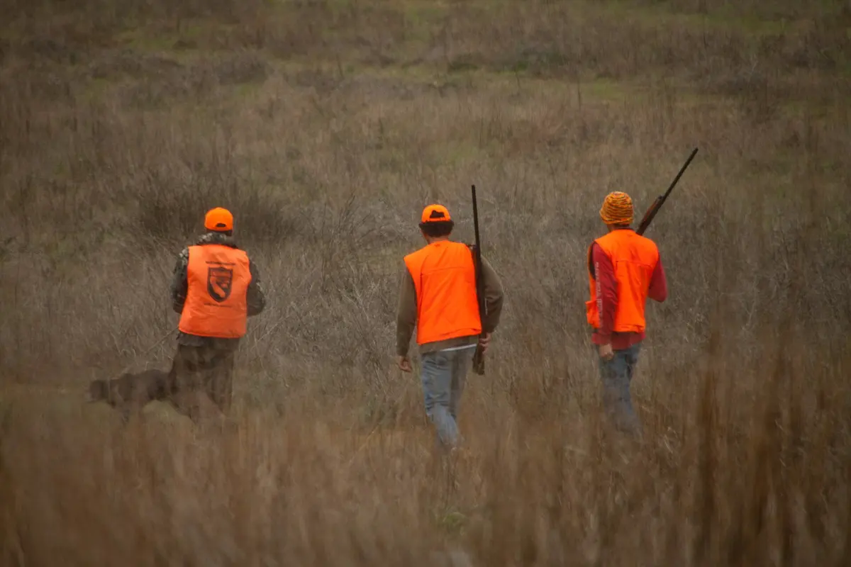 Upland hunters in a field during pheasant season